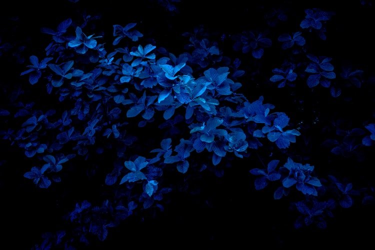 color azul en cromoterapia