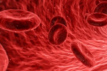 El Colesterol Alto y la Biodescodificación - Blog - Laura Casart