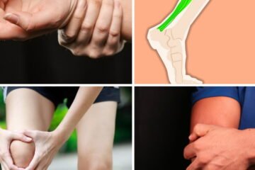 Causas de la Tendinitis en Biodescodificación - Blog - Laura Casart