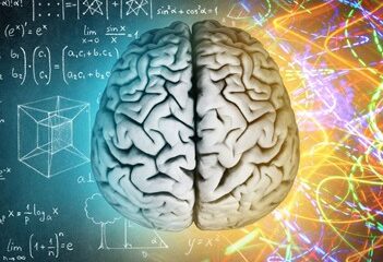 Representación de la lateralidad en Biodescodificación y su relación con emociones y hemisferios cerebrales.