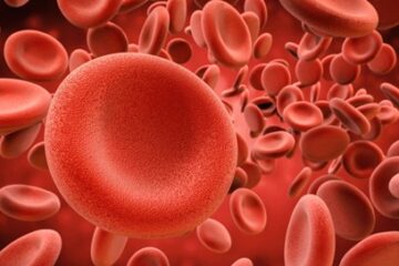 Representación simbólica de las causas emocionales de la trombocitopenia y su relación con los conflictos familiares.