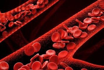Imagen sobre las Causas Emocionales de las Arterias y su relación con las emociones y la salud cardiovascular.